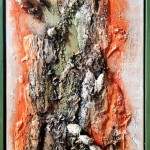 kraftquelle der natur1