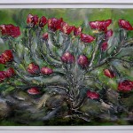 schoenheit der rosen