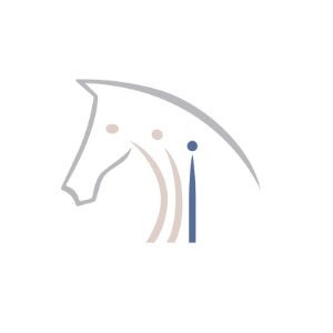Valentia - Gest&auml;rkt mit Pferd | Logoentwicklung, Namensfindung (Valentia)