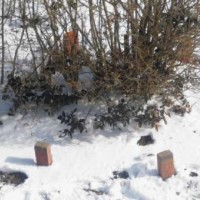 Entst&ouml;rung von Polpunkten